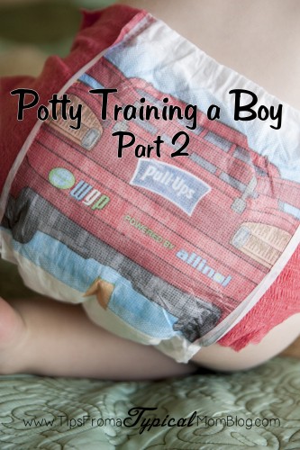 Potty training a Boy Part 2 from Tips From a Typical Mom.