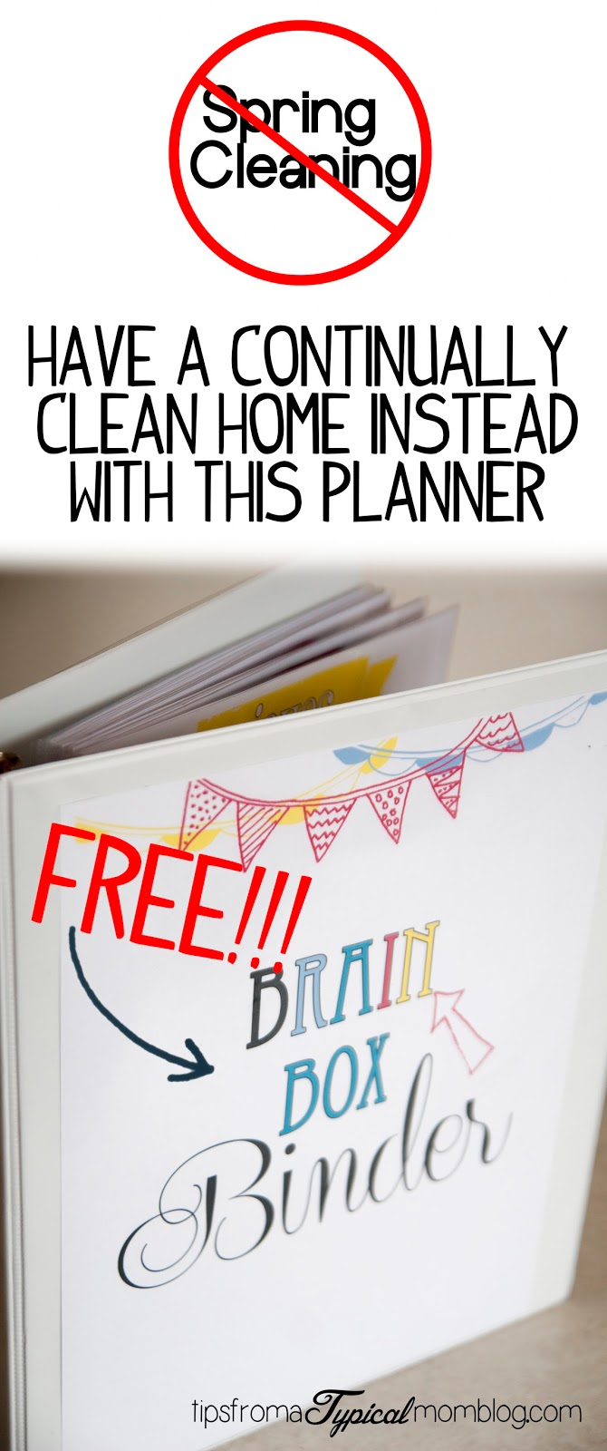 Just Say NO to Spring Cleaning and have a continually clean home all year round using this "Brain Box" binder from Tips From a Typical Mom.