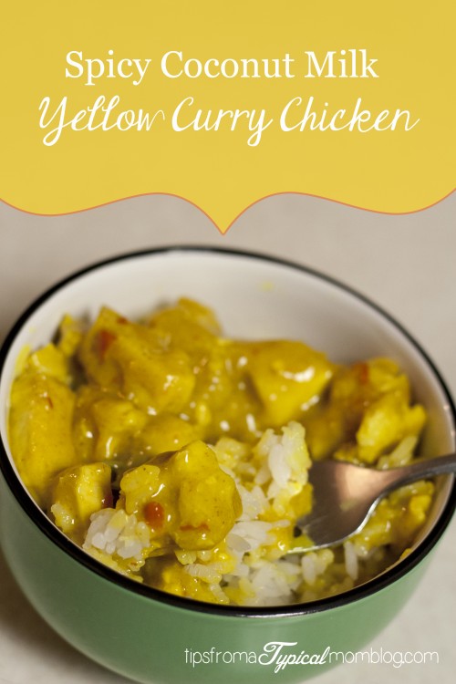 Spicy Coconut Curry Chicken and Rice