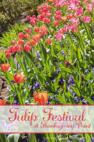 Utah Family Activities Series- Tulip Festival at Thanksgiving Point + Giveaway