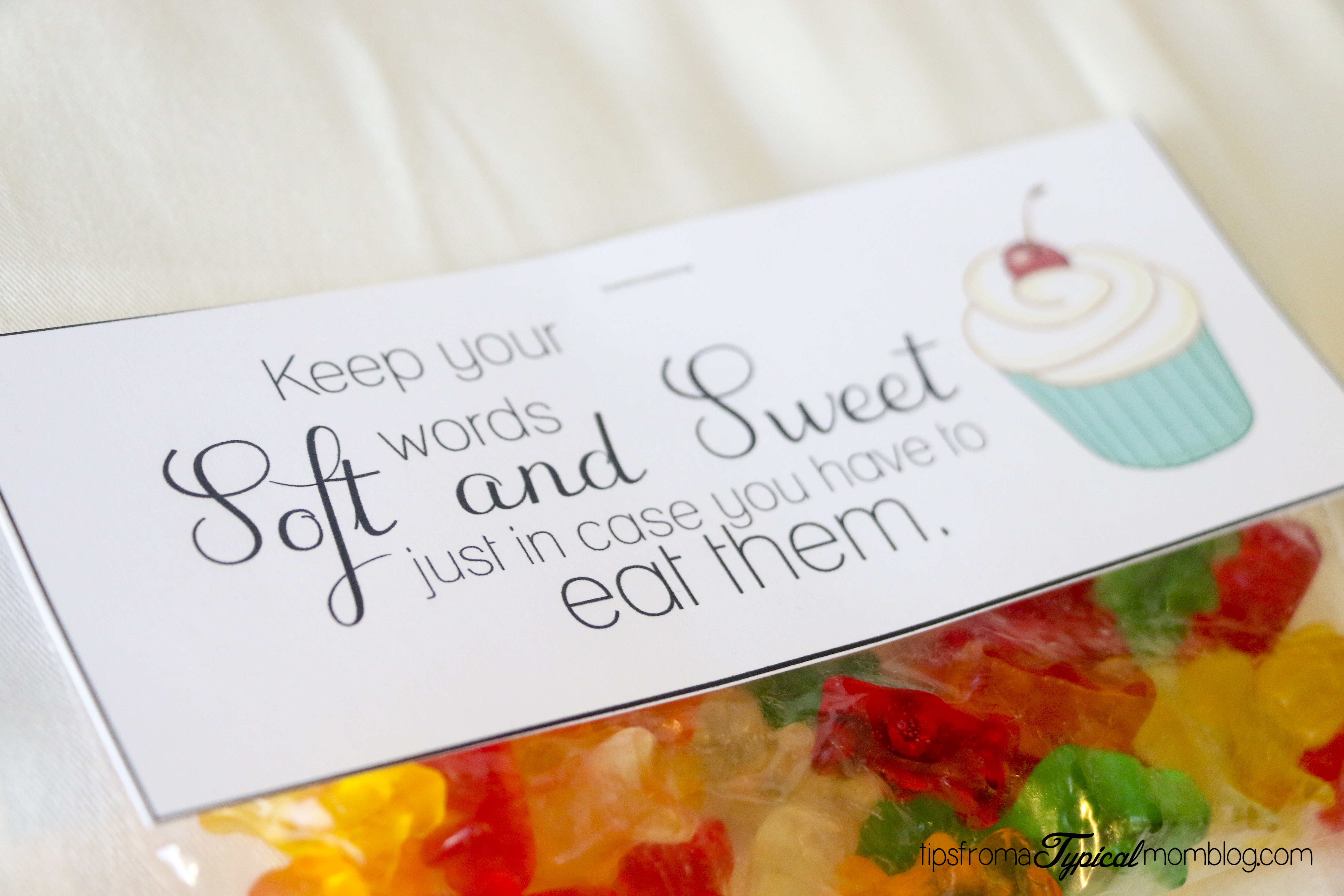 Keep Your Words Soft and Sweet Handout Printable- Young Women Devotional
