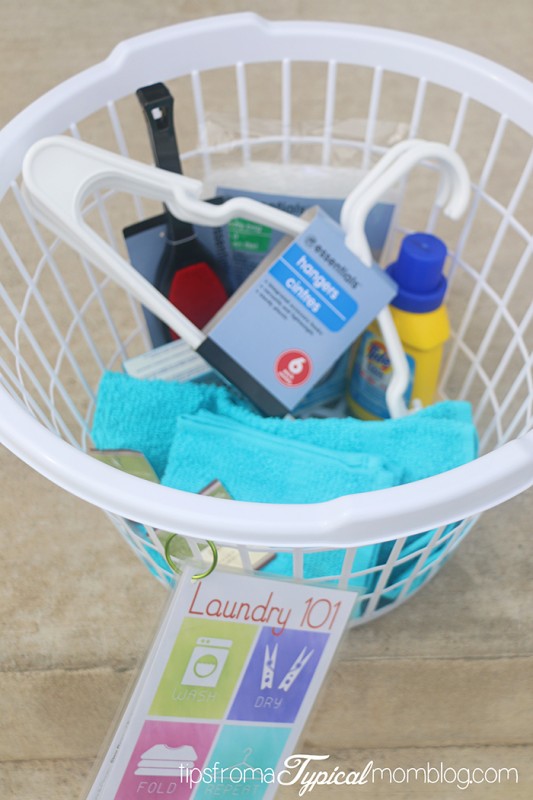 Laundry 101 College Student Gift Idea