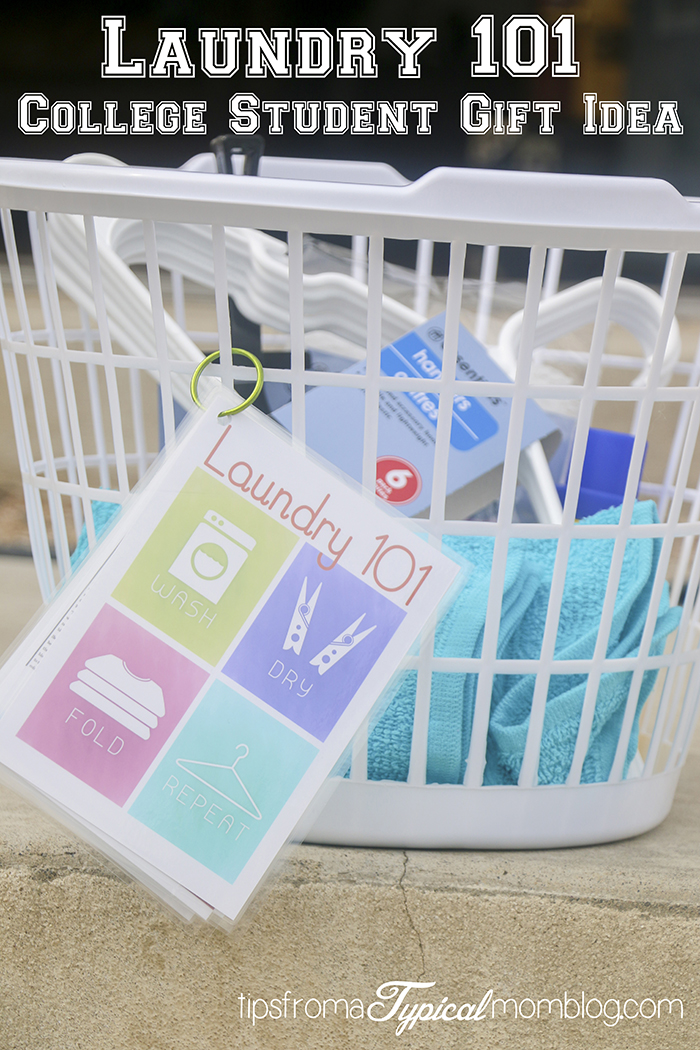 Laundry 101 Printable Gift for College Students