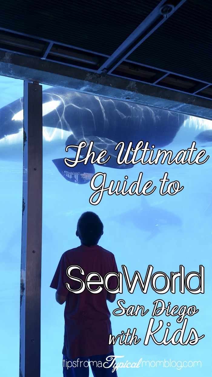 The Ultimate Guide to Visiting SeaWorld San Diego with Kids