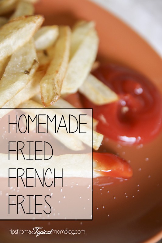 Homemade Fried French Fries