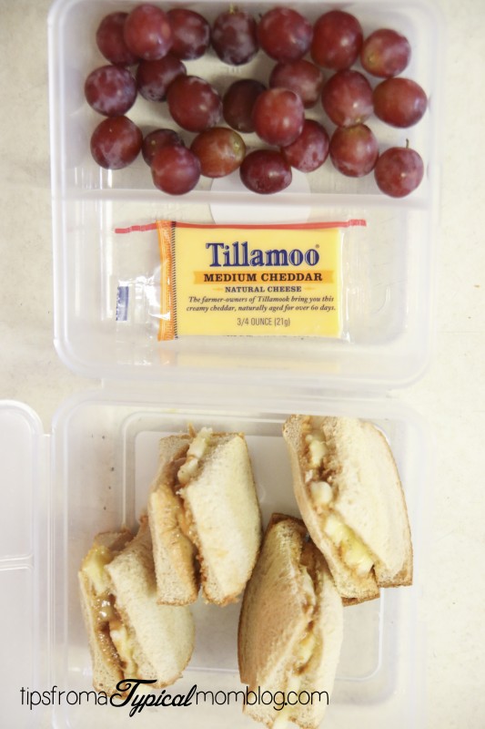 Fresh Sandwich Ideas for the Lunchbox