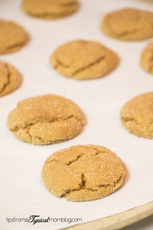 Molasses Cookies Recipe