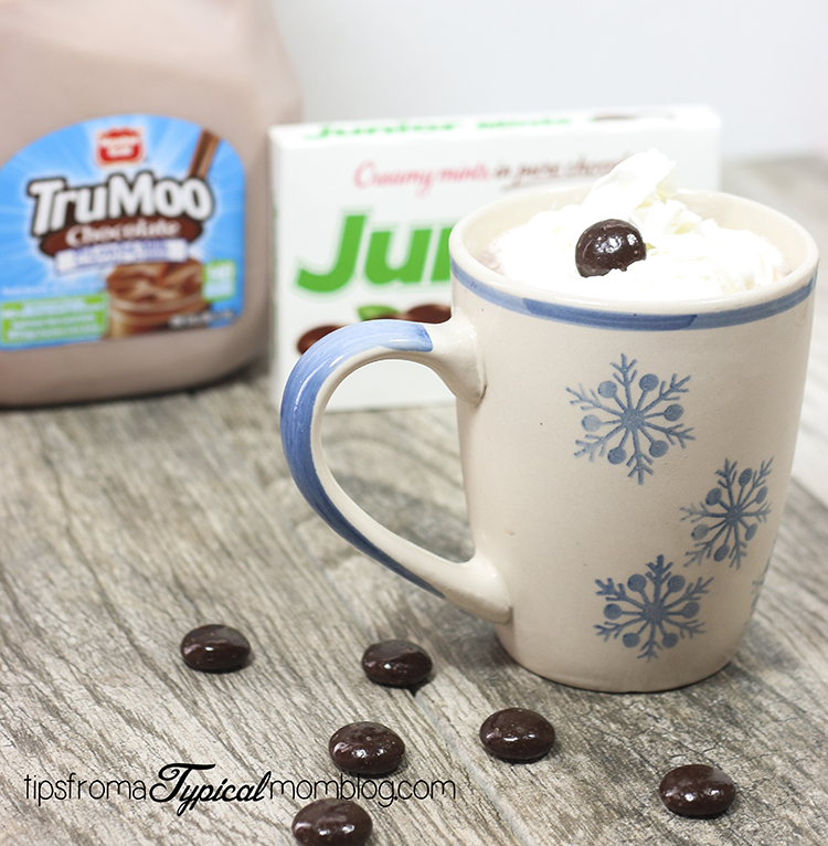 Hot Chocolate Mint Malt with TruMoo