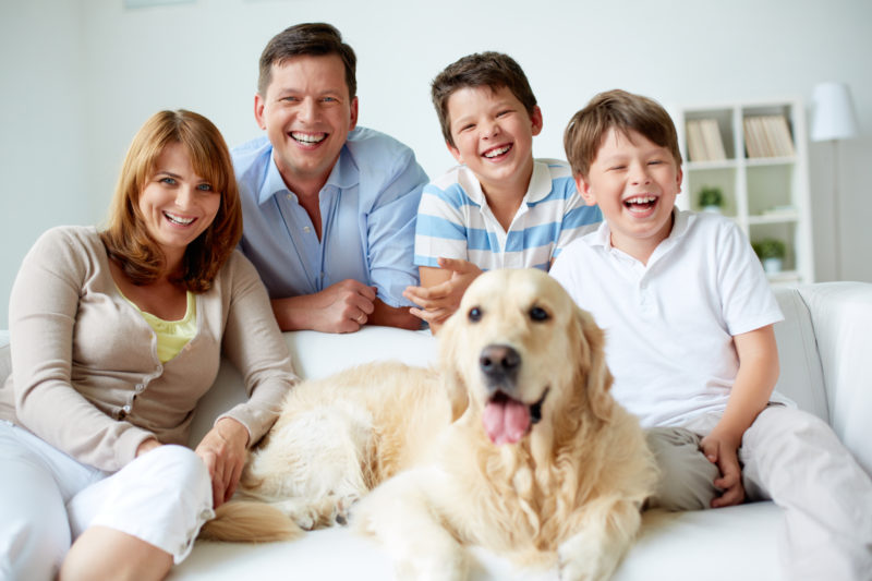 How to Choose the Right Dog for Your Family