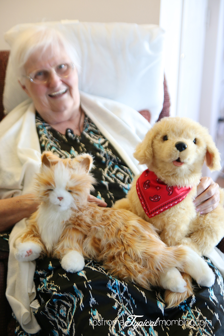 Companion Pets for Your Elderly Loved Ones