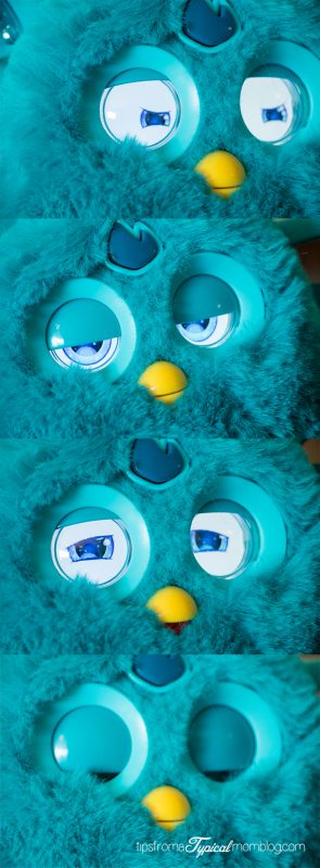 In love with our Furby Connect