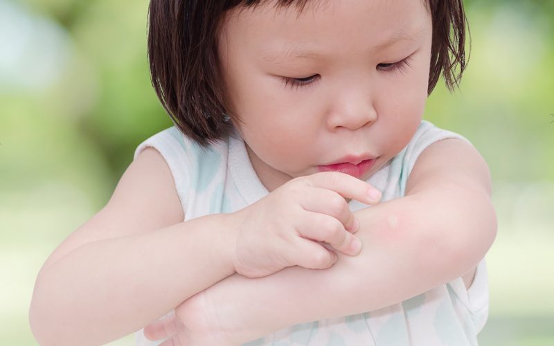 Mom Tested Bug Repellents that are Safe for Kids