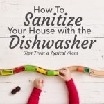 Learn all the things you can sanitize in your dishwasher.