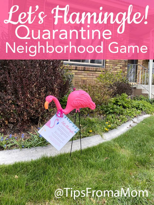 Let's Flamingle Neighborhood Game