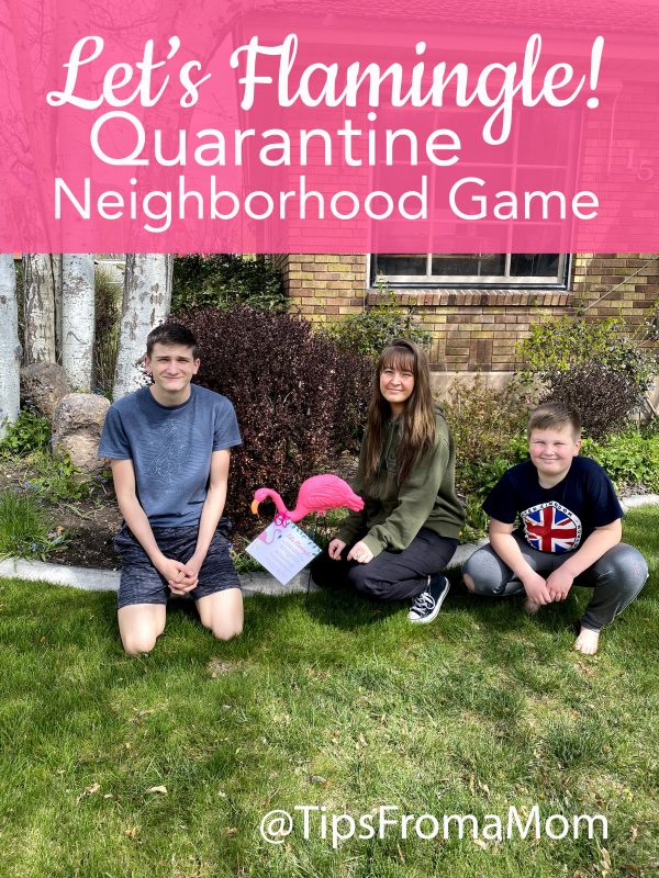 Let's Flamingle Neighborhood Game with kids
