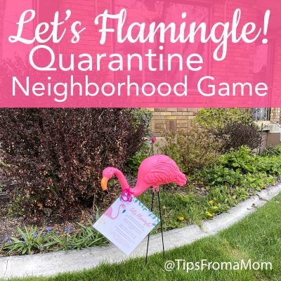 Lets Flamingle Quarantine Neighborhood Game