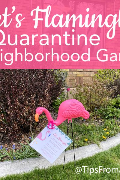 “Let’s Flamingle” Quarantine Neighborhood Game