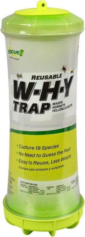 WHY wasp trap